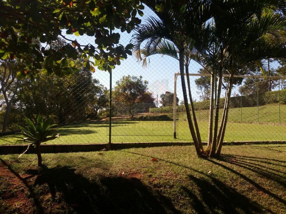 Comprar Rural / Fazenda em São José do Rio Pardo R$ 1.200.000,00 - Foto 10