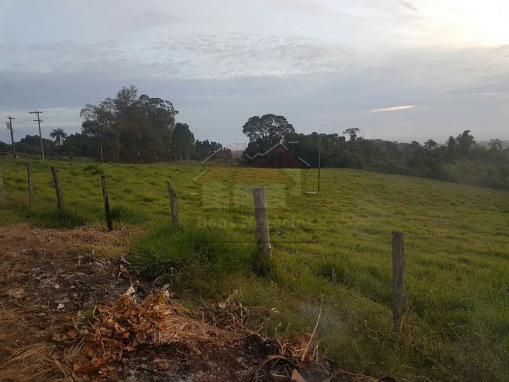 Comprar Rural / Fazenda em São José do Rio Pardo R$ 1.200.000,00 - Foto 17
