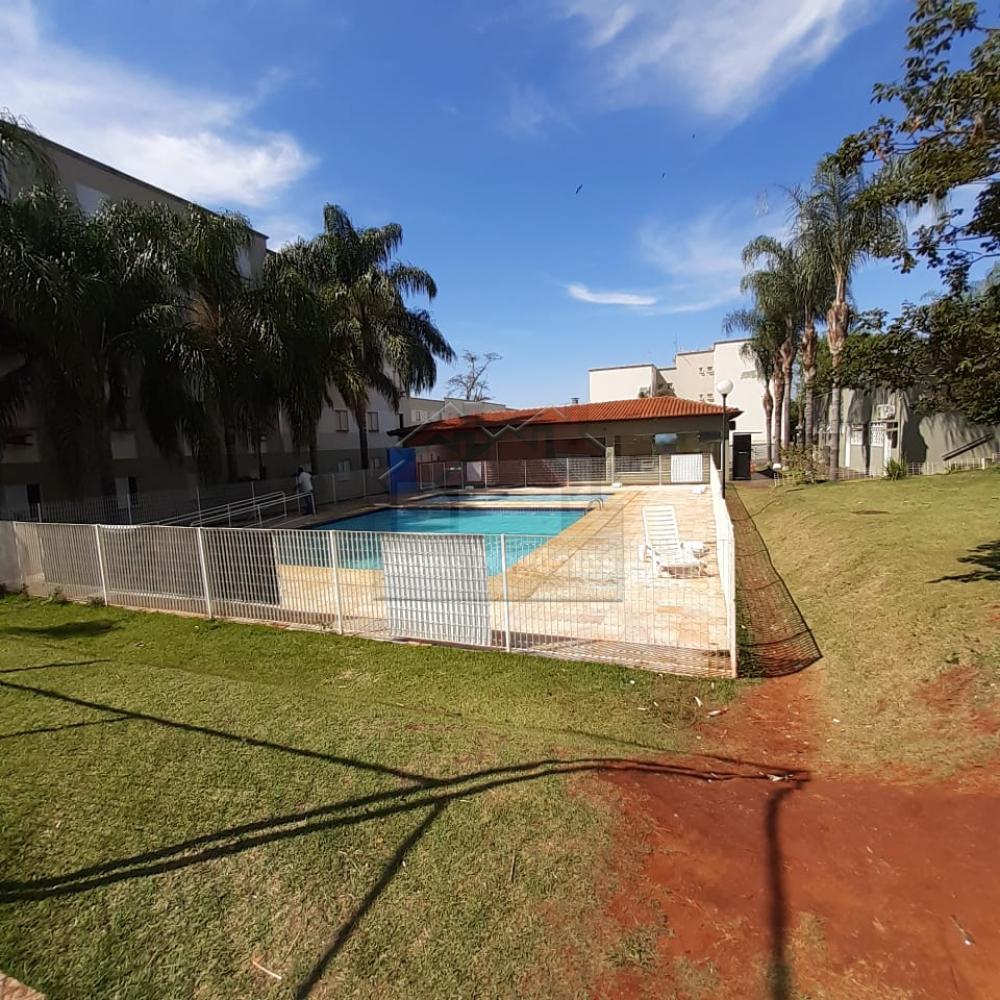Alugar Apartamento / Padrão em Ribeirão Preto R$ 800,00 - Foto 5