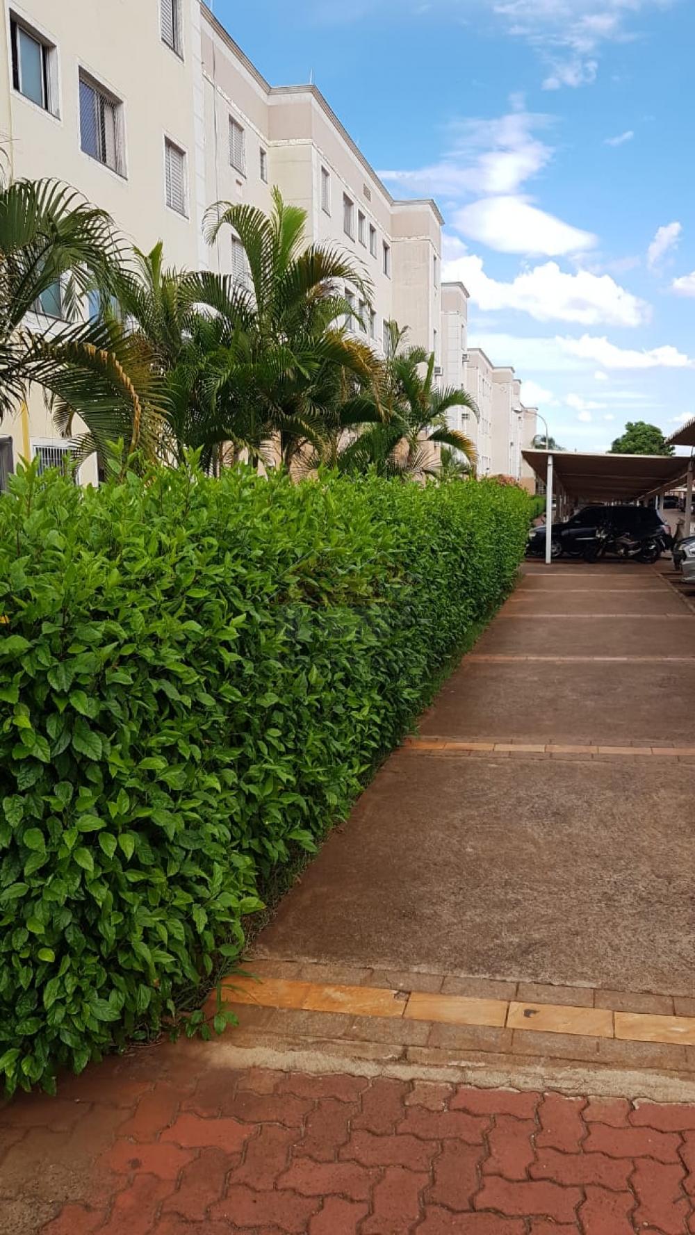 Alugar Apartamento / Padrão em Ribeirão Preto R$ 700,00 - Foto 1