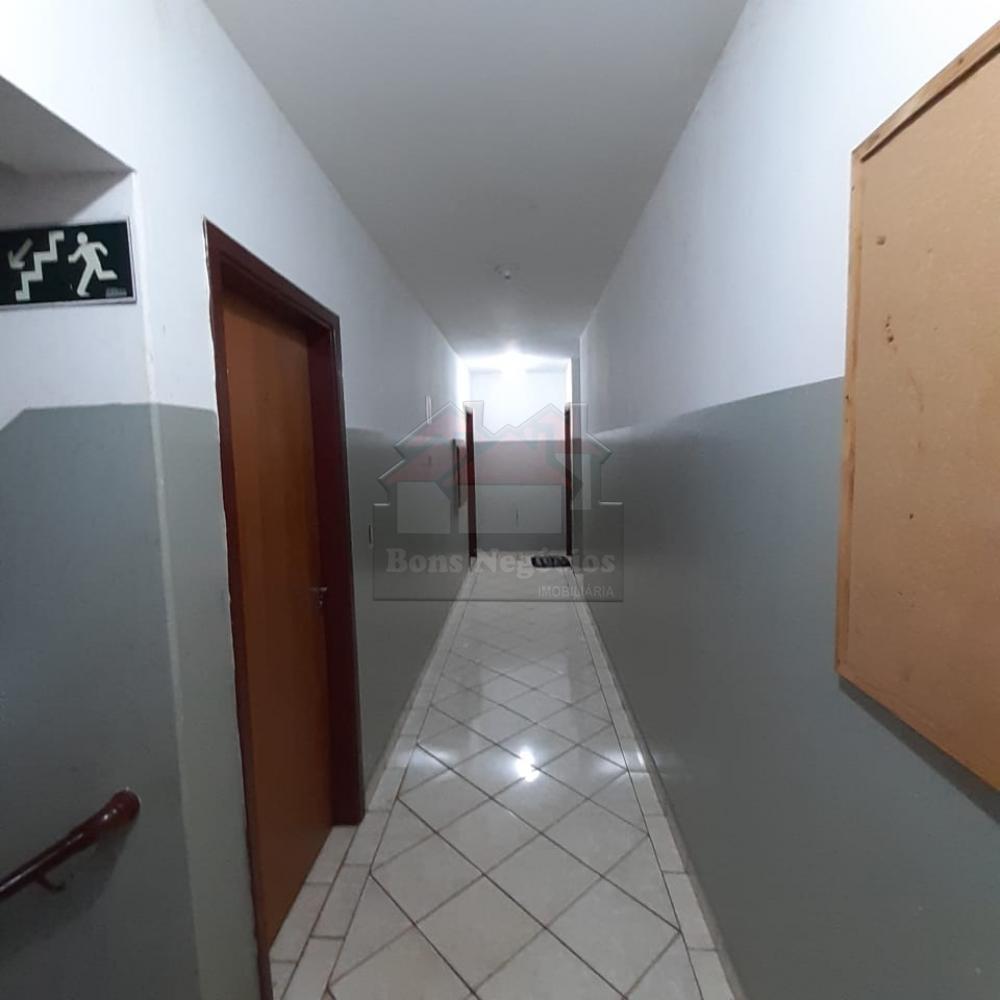 Alugar Apartamento / Kitchnet em Ribeirão Preto R$ 450,00 - Foto 3