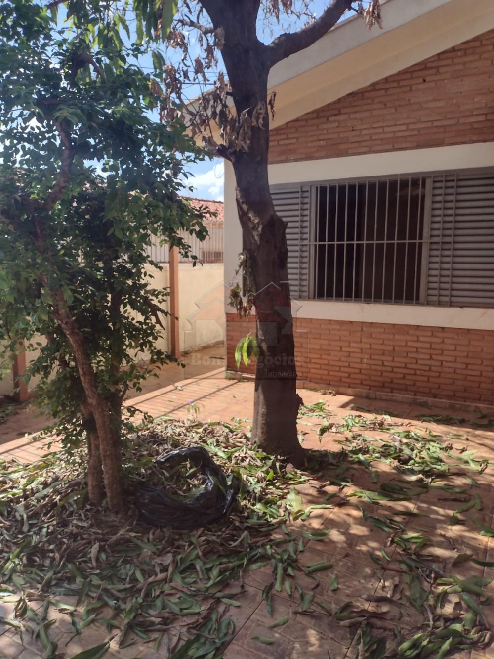 Comprar Casa / Alto Padrão em Ribeirão Preto R$ 550.000,00 - Foto 23