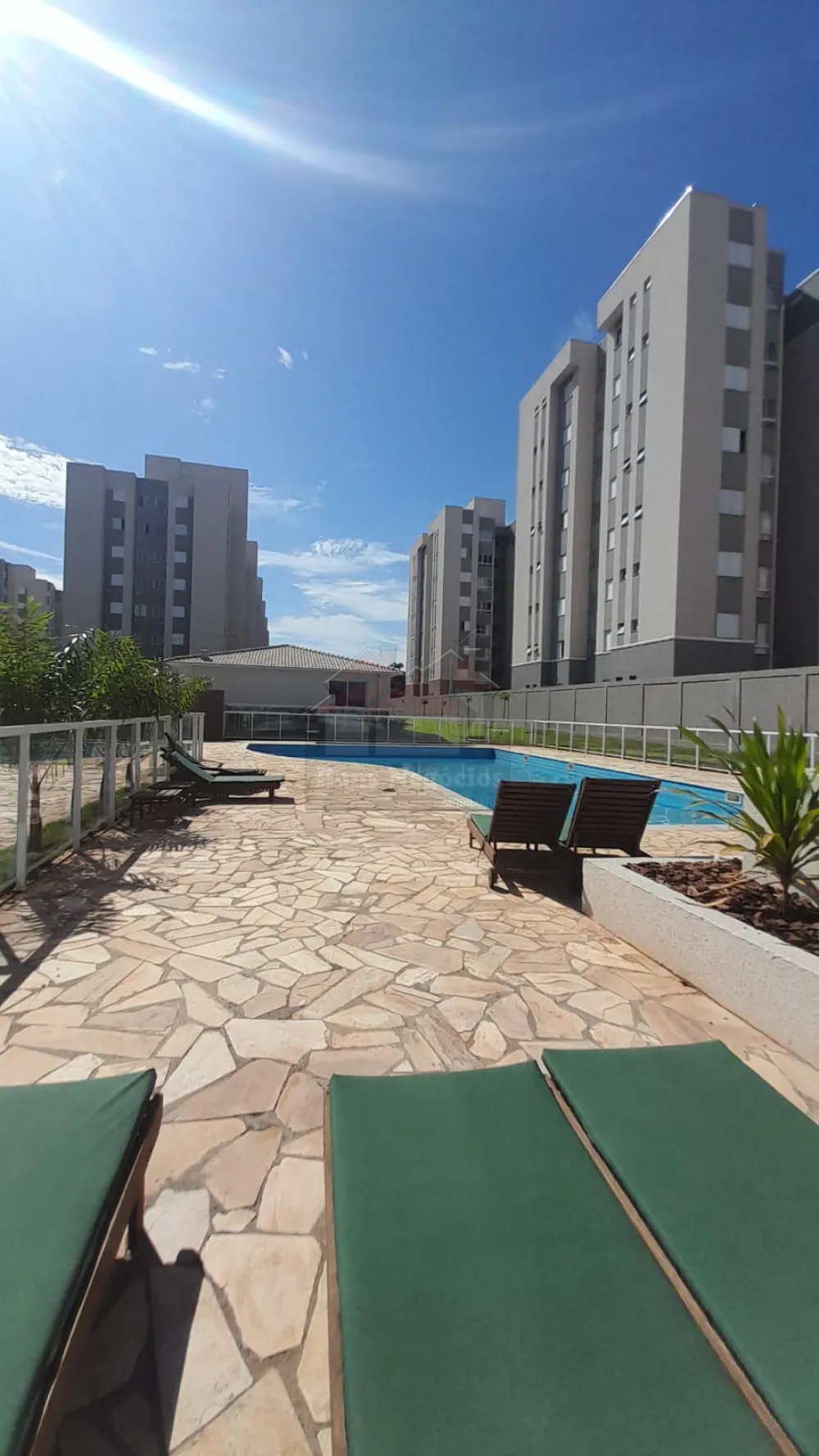 Alugar Apartamento / Aluguel em Ribeirão Preto R$ 900,00 - Foto 2