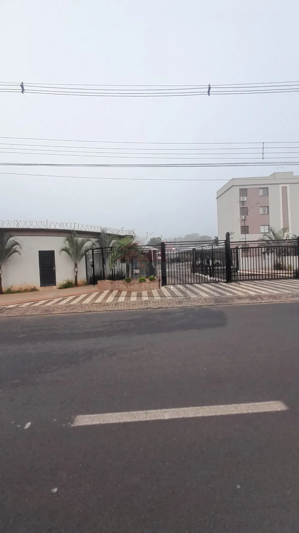 Alugar Apartamento / Aluguel em Ribeirão Preto R$ 800,00 - Foto 1