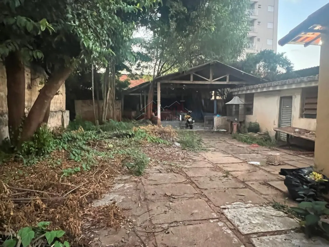 Comprar Casa / Padrão em Ribeirão Preto R$ 850.000,00 - Foto 1