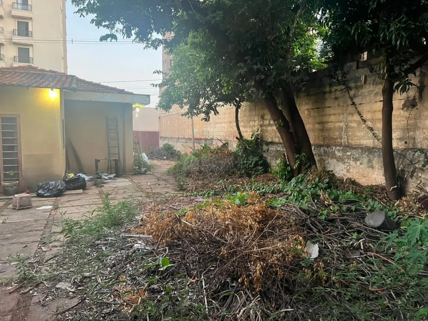 Comprar Casa / Padrão em Ribeirão Preto R$ 850.000,00 - Foto 4