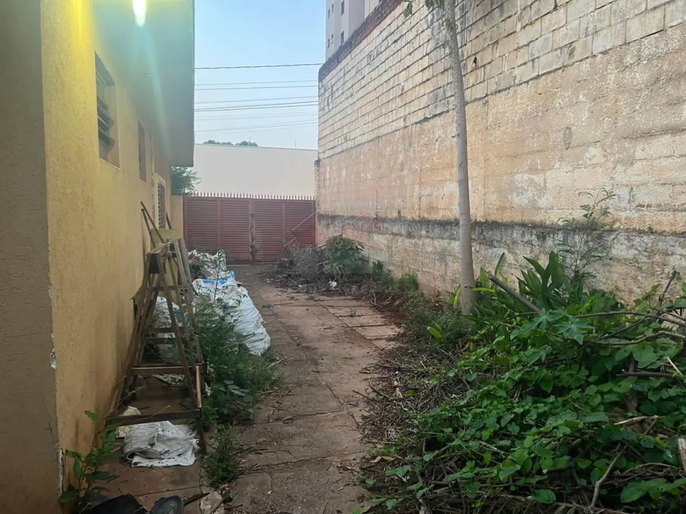 Comprar Casa / Padrão em Ribeirão Preto R$ 850.000,00 - Foto 5