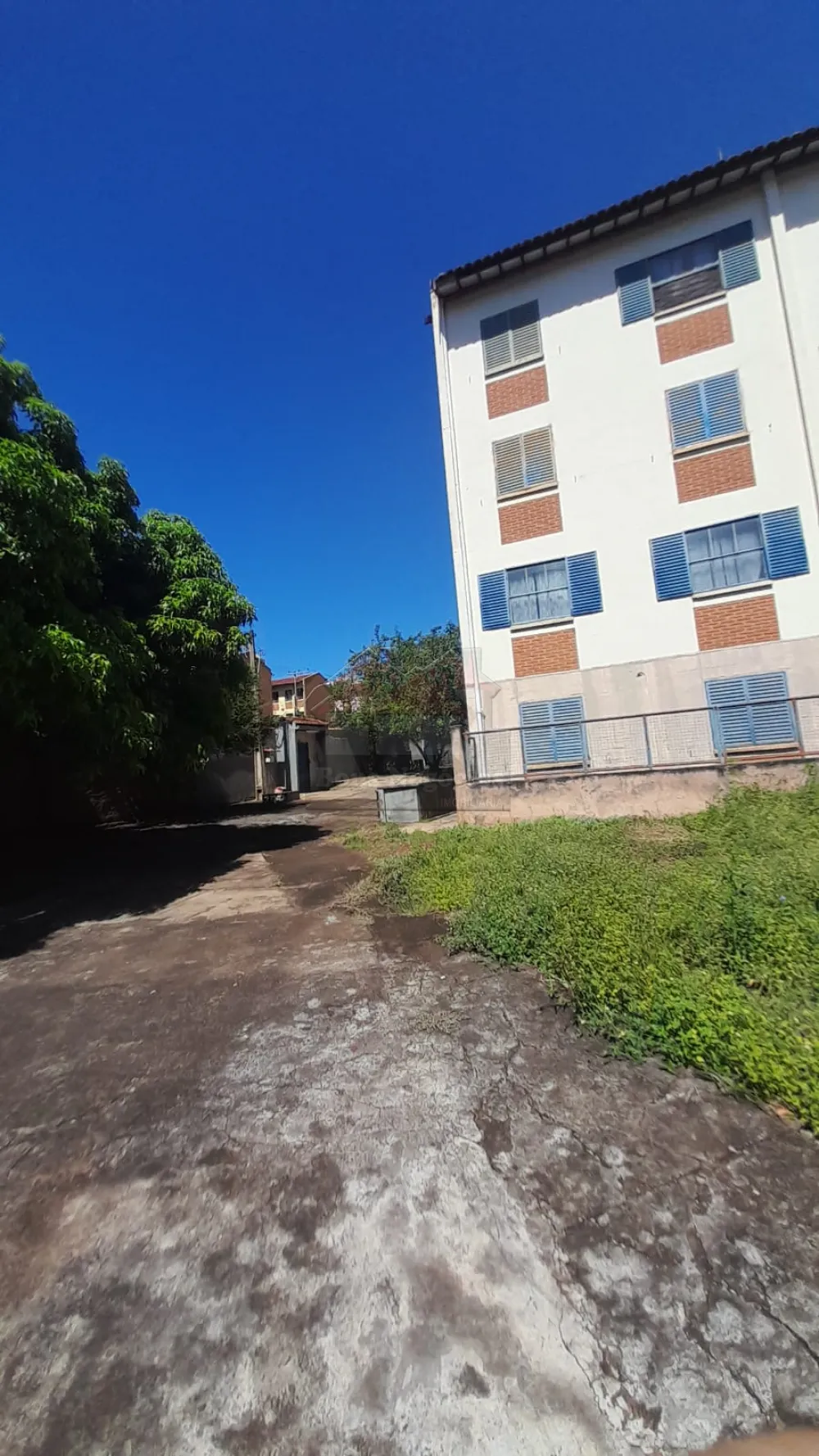 Alugar Apartamento / Padrão em Ribeirão Preto R$ 500,00 - Foto 3