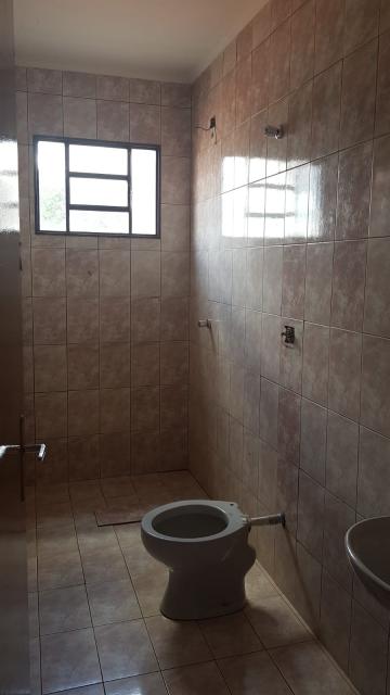 Alugar Apartamento / Padrão sem Condomínio em Ribeirão Preto R$ 450,00 - Foto 11