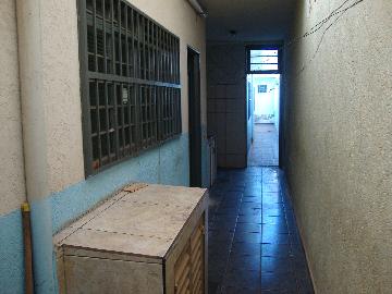 Alugar Casa / Padrão em Ribeirão Preto R$ 1.000,00 - Foto 14