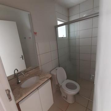 Alugar Apartamento / Padrão em Ribeirão Preto R$ 800,00 - Foto 28