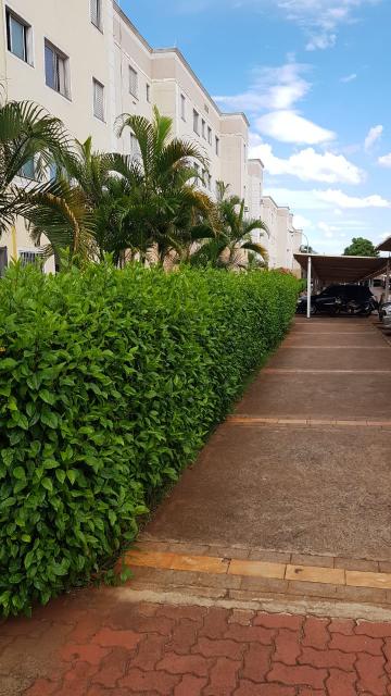 Alugar Apartamento / Padrão em Ribeirão Preto R$ 700,00 - Foto 1