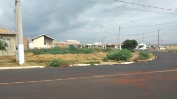 Terreno / Padrão em Ribeirão Preto 