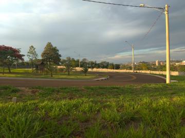 Terreno / Área em Ribeirão Preto 