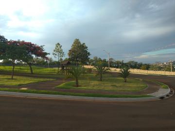 imagem 2 - Terreno com asfalto, plano, regularizado á VENDA! imagem 2 - Terreno com asfalto, plano, regularizado á VENDA!