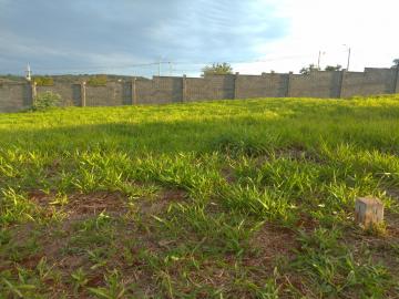 imagem 4 - Terreno com asfalto, plano, regularizado á VENDA! imagem 4 - Terreno com asfalto, plano, regularizado á VENDA!
