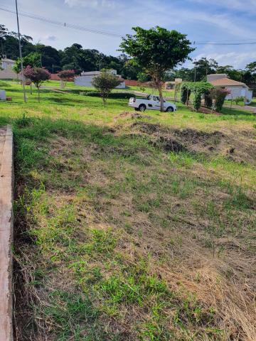 Terreno / Padrão em Ribeirão Preto 