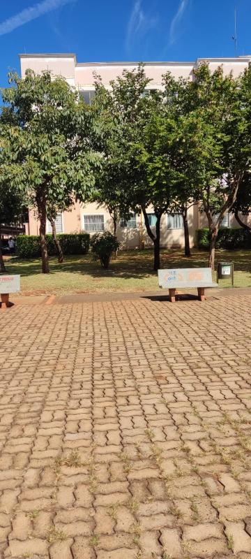 imagem 2 - Apartamento - Padrão imagem 2 - Apartamento - Padrão