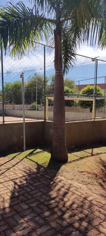 imagem 4 - Apartamento - Padrão imagem 4 - Apartamento - Padrão