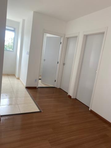 Alugar Apartamento / Aluguel em Ribeirão Preto R$ 800,00 - Foto 2